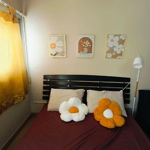 Queen Studio